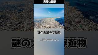 日本の陸地面積の約4倍のゴミが集まる『太平洋ゴミベルト』とは！ #shorts