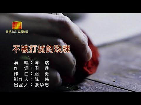 不被打扰的玫瑰-陈瑞-主唱 KARAOKE