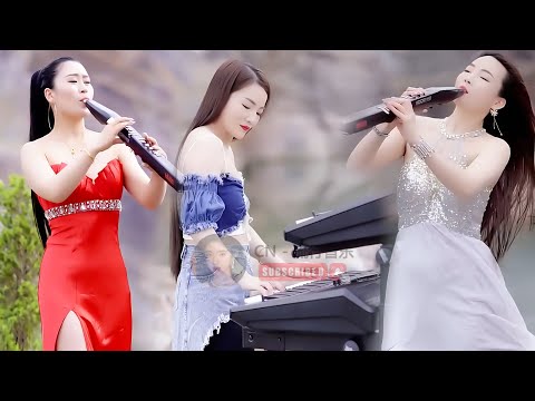 电吹管音质音乐 🔥 百听不厌的经典音乐 🎵 3D環繞立體聲, 车载必备音乐电子琴 🎶 此曲震惊天下多情的人  💖【非常好听】👍👍 不能錯過的电子琴伴奏DJ舞曲