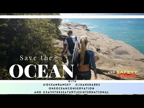 Help us #SaveTheOcean This spot needs help 🚨#OneOceanConservation #SaveTheSeaTurtlesInternational #🌊