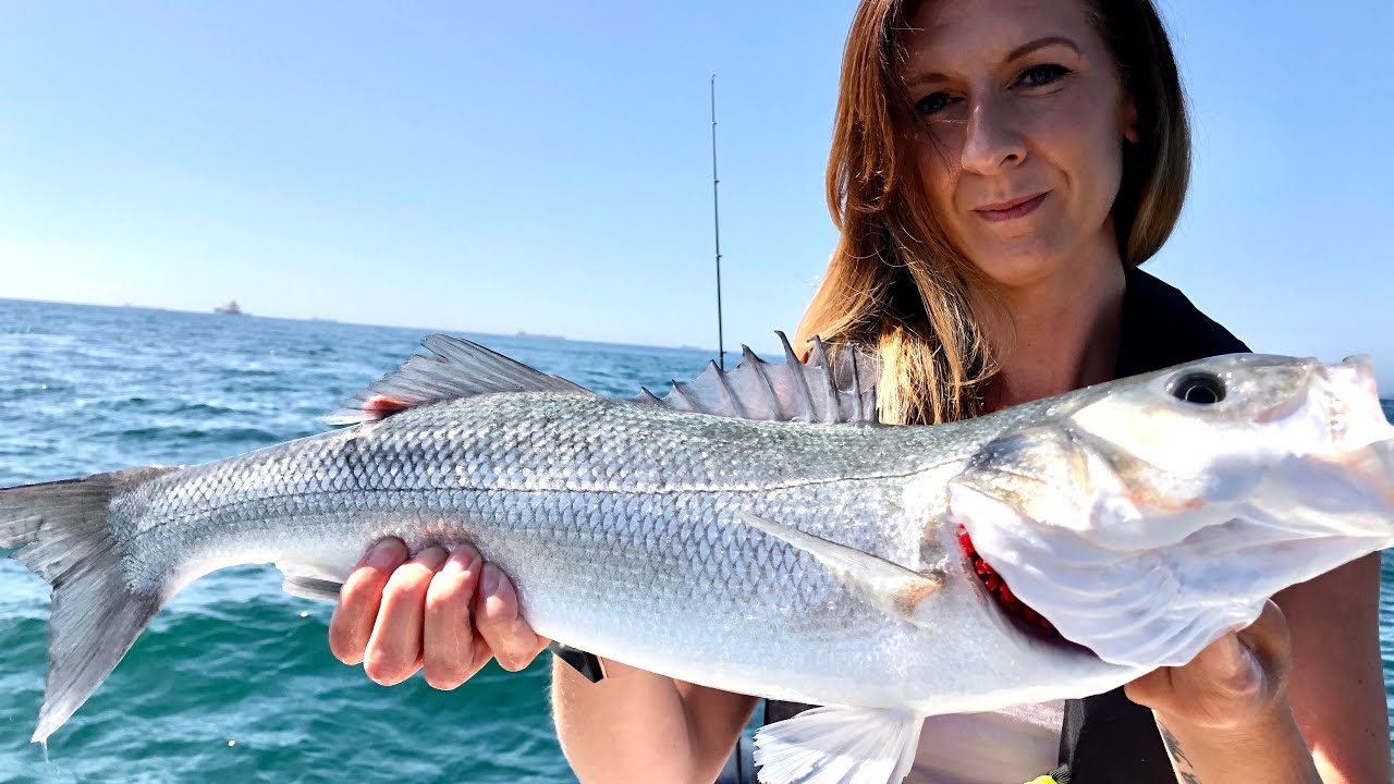 Bass Fishing UK - Fish Locker Team - Bass, Pollack and Wrasse. - The Fish Locker