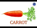 Carrot Color and Language Questions