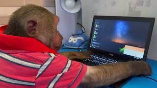 Best compilation - Super monkey Abu prepares things for mum to come home and go out