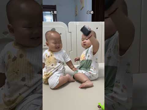 战况总结！哥哥抢东西成功，弟弟打哥哥成功，和谐的ending！#funny#双胞胎#萌娃#搞笑