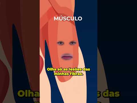 Como os MÚSCULOS CRESCEM?