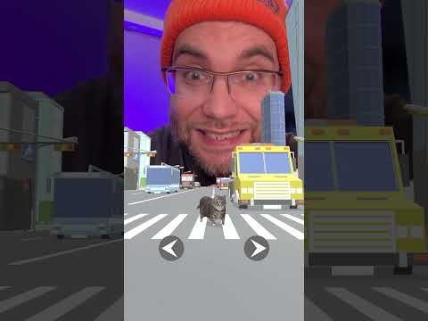 Will this cat cross the road? #meme #viralvideo #cat #fypシ゚viral #brainrot #catmemes #uiiaiouiaio
