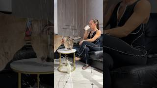 Били, били - не разбили! #cat #animals #funny #shorts