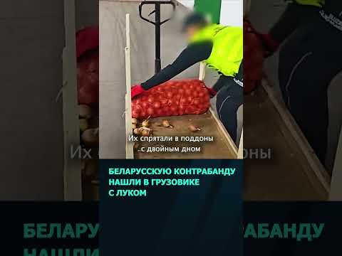 Беларусскую контрабанду нашли в грузовике с луком на польско литовской границе  #беларусь #новости