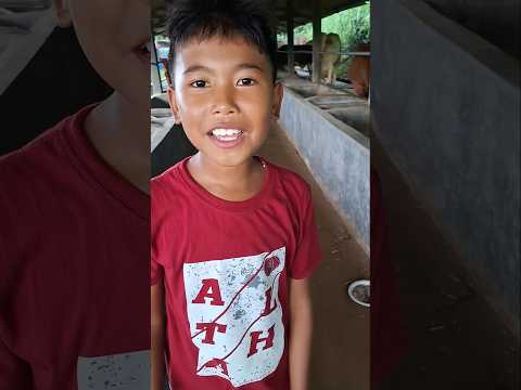 Aziz sapinya nangis kenapa #trending #youtubeshorts