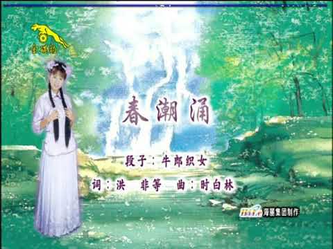 卓依婷 春潮湧 DVD版