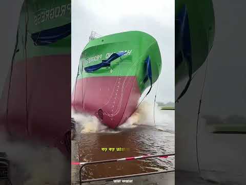 Pilot door on a ship #shorts #shortvideo #facts