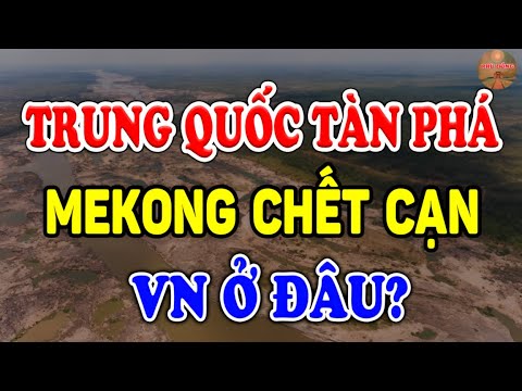 Trung Quốc Đang G.IẾT Mekong Đến Chết Cạn?, Đâu Mới Là Tội ÁC Tày Trời | Phù Đổng TV