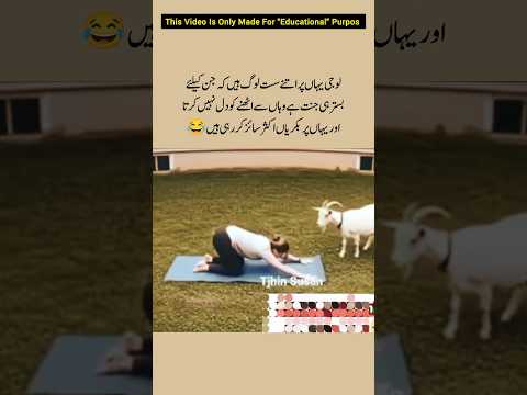 Enjoy Your Life Everytime 😊 #shortsvideo #goat #enjoyingeverydaylife #entertainment