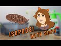 Isopod Care and Biology