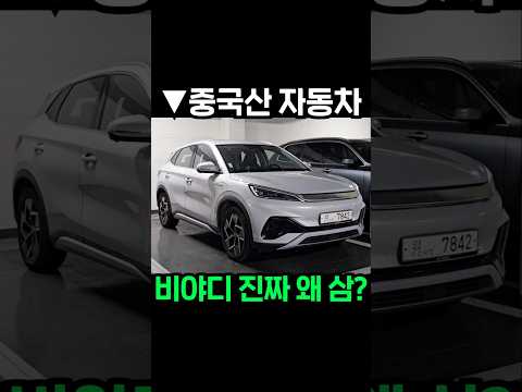 현대 기아랑 정면승부? 깔건 까야지ㅋㅋ