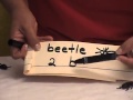 Insect Measurement Activities