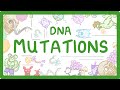 Exploring DNA Mutations: Types and Causes