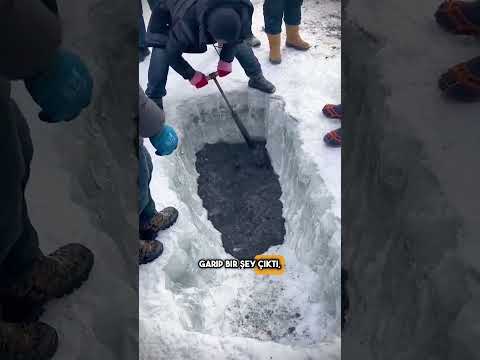 Yiyecekleri Yoktu, Bu Yüzden Donmuş Gölde Balık Tutmaya Gittiler! #shorts