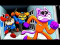 Catnap's Journey to Justice