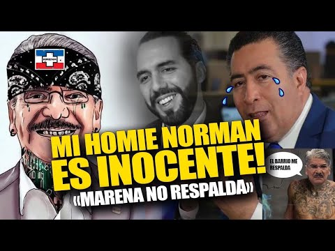 😱INCREÍBLE! Bukele no se esperaba que Portillo Cuadra CASI LL0RA por el Marero de Norman Quijano!