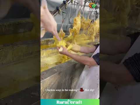 Chicken Spa Day or Featherpocalypse?! 🐔💦 This Poultry Plant is WILD! #chicken #duck #foodprocessing