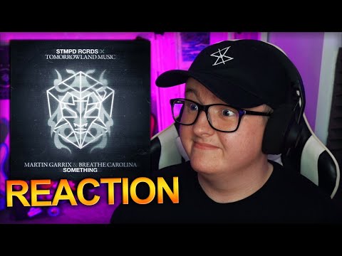 Martin Garrix & Breathe Carolina - Something *REACTION*