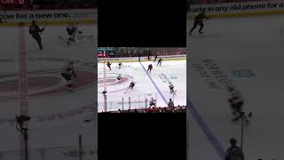 Southern nights for the Hurricane #nhl #gocanes #hurricane #fyp #viral #ytshorts #nhlplayoffs