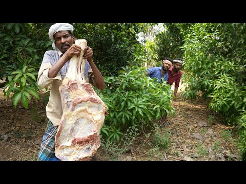 PrimitiveTechnology: Beef Leg Piece Gravy |  Beef Curry - Eating Delicious | Just for Fun