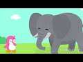 Animal Sizes and Descriptions