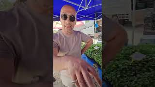 Pazardan Fidelerimi aldim ve Bahçeme bakın neler ektim🥰