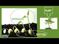 Plant Growth and Survival Concepts