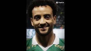 segue maurício41 para bater 400 seguidores💚🤍💚🤍💚