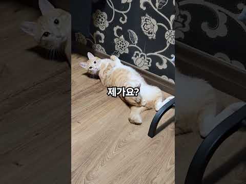 401호? 쓰레기 버리지마옹