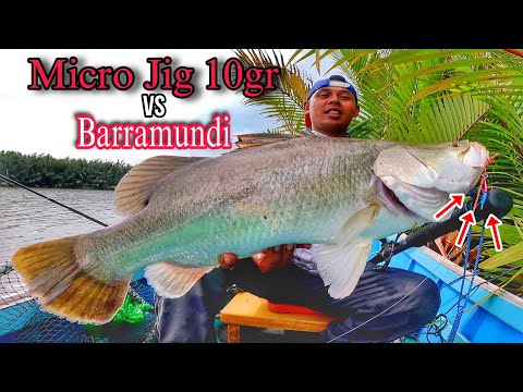 Tak disangka Micro Jig 10gram di sambar Barramundi BABON 😱