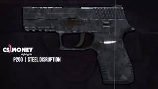 P250 Steel Disruption Gameplay