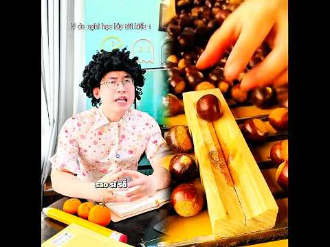 lý do nghỉ học lớp tôi kiểu