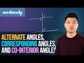 Understanding Angles in Parallel Lines