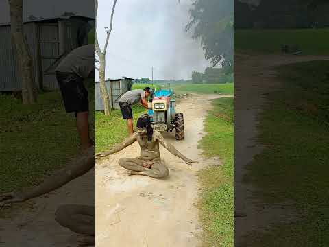 #comedyvideos