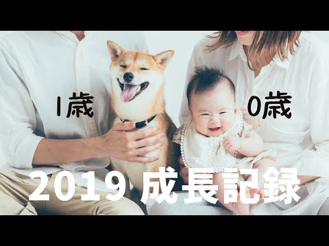1歳の柴犬と、一緒に育った0歳娘の成長記録