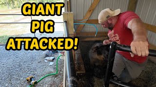 I Was ATTACKED~She's Gone In 24 HOURS!