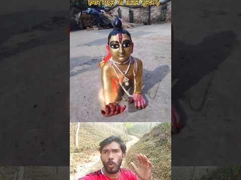 ভগবান লাড্ডু গোপাল#short#laddu Gopal#trending#viral