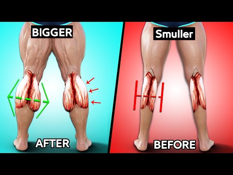 6 BEST EXERCISE  CALVES WORKOUT & Calf Raise