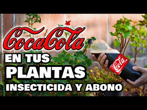 ¡INCREÍBLE INSECTICIDA y ABONO con COCA-COLA! Plantas y Huerto Urbano 🥤 Fungicida Pesticida Casero