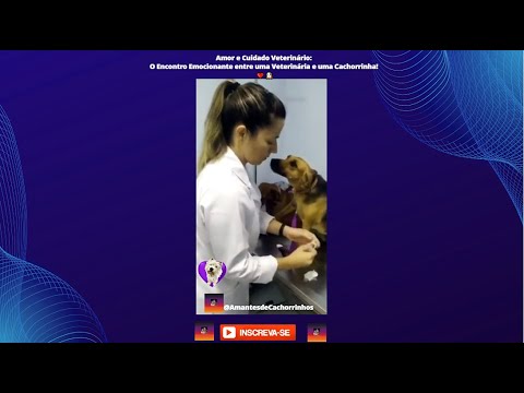 Amor e Cuidado Veterinário: O Encontro Emocionante entre uma Veterinária e uma Cachorrinha! 🐶❤️🐶❤️🐕