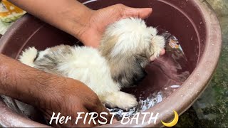 Her FIRST BATH & FIRST VACCINATION DAY 🌙