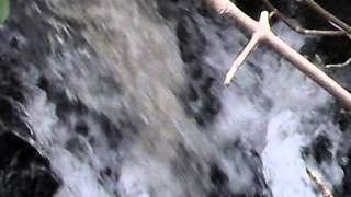 Haunted Lake: Thirlmere