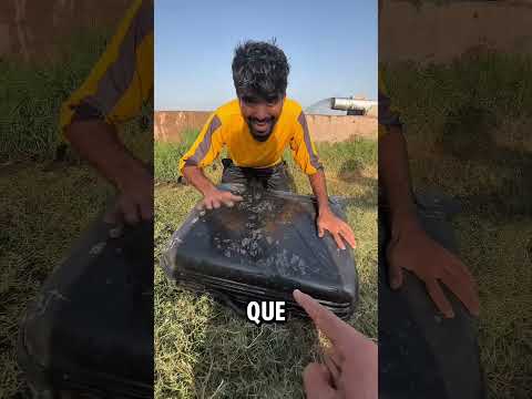 Tubarão precioso resgatado  #precioso