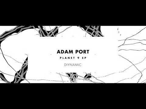 Adam Port - November (DIYNAMIC105)