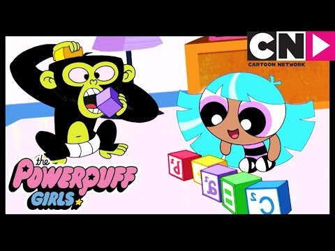 Lembranças Da Estrelinha | As Meninas Superpoderosas | Cartoon Network