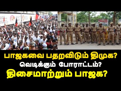 பாஜகவை பதறவிடும் திமுக? வெடிக்கும்  போராட்டம்? திசைமாற்றும் பாஜக?|live news tamil#tamilnews